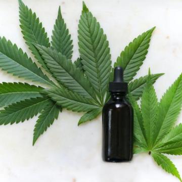 Understanding the Difference Between CBD and THC