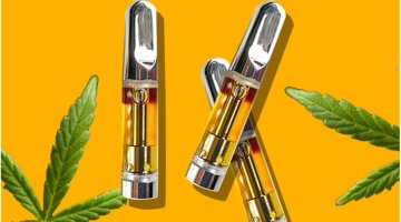 Traveling With CBD Vape Pens: Tips and Guidelines